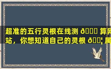 超准的五行灵根在线测 🐎 算网站，你想知道自己的灵根 🐦 属性吗